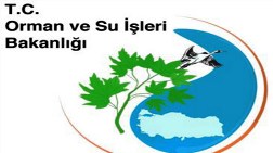 Bölgemiz ve Ötesi Ormancılık Toplantısı