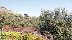 Park Alanı Satışa Çıktı!