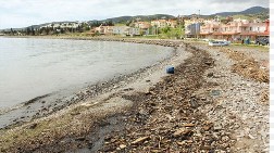 Mavi Bayrak Çamura Bulandı! 