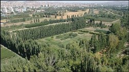 Atatürk Orman Çiftliği'nden 10 Bin Ağaç Söküldü!