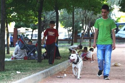 Yenibosna'nın Tek Parkı Otopark Oluyor!