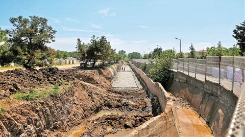 Ağaç Kıyımı Yargıya Taşınıyor
