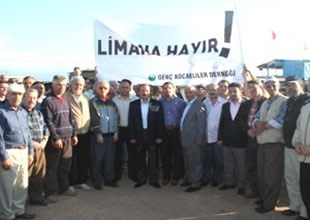 Liman İnşaatında Çevre Eylemi