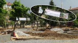 Belediyeden Devrilen Ağaç İçin Pankart