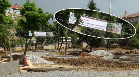 Belediyeden Devrilen Ağaç İçin Pankart