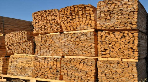 Ağaç ve Orman Ürünleri İhracatı Arttı