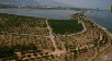 "EXPO Binaları Kent Ormanı Üzerine Yapılacak"