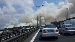 Beykoz'da Orman Yangını!