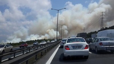 Beykoz'da Orman Yangını!
