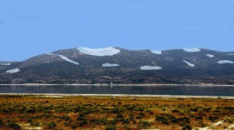 Doğa Katliamı Bilimsel Olarak Belgelendi