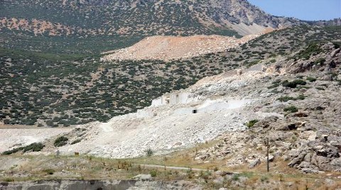 Doğa Katliamı Bilimsel Olarak Belgelendi