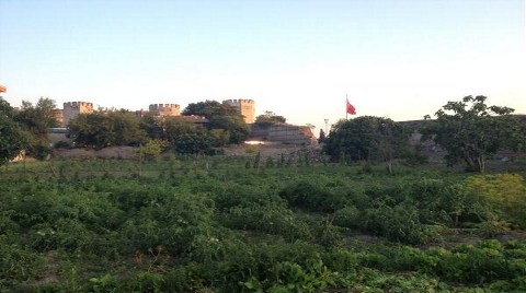 Yedikule Bostanı'nda Yeryüzü Sofrası