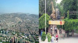 Ankara Yenimahalle Atatürk Orman Çiftliğine İlave Edilecek