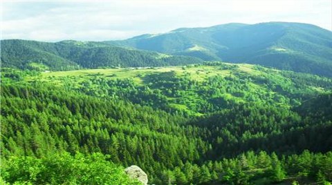 Doğa Talanına Karşı Buluşuyorlar