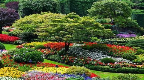 Butchart Gardens-Victoria (Kanada)