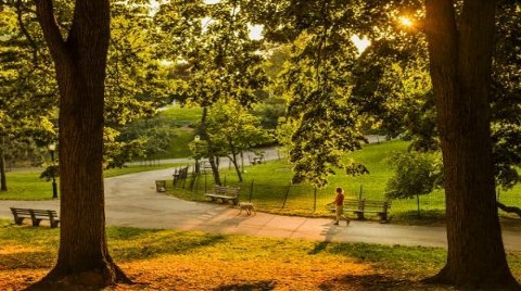 Riverside Park-Londra (İngiltere)