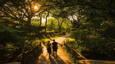 Central Park-ABD