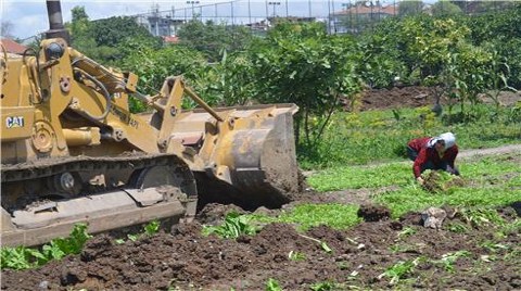 Yedikule Bostanlarını Koruma Girişimi'nden Açık Mektup!