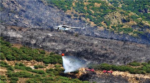 Günde 15-25 Orman Yangını Çıkıyor