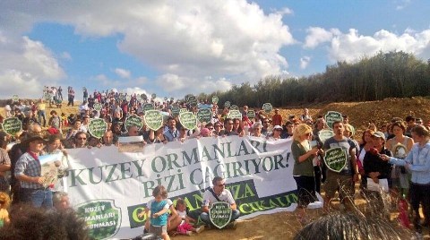 Riva'daki Sivil Orman Girişiminden Notlar