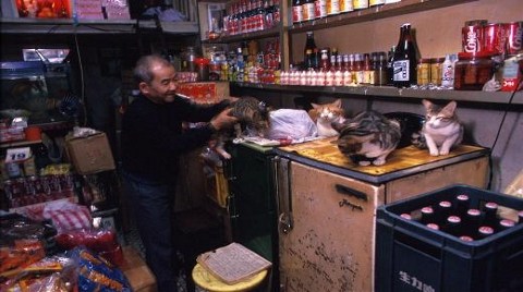 Konserve Kutusu Gibi Şehir: Kowloon Walled City!