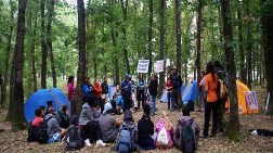 Longoz Ormanlarını Korumak için Kamp Yaptılar