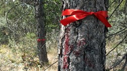 ODTÜ Ormanını Ankara Halkı Adına Koruyoruz