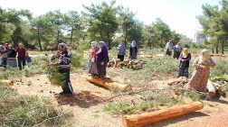 Yeşil Duyarlılığı Gerçek, Gerisi Siyaset!