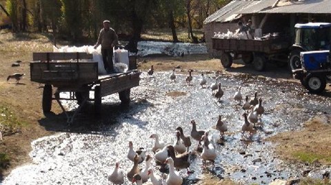 Malakanların Değirmeni 136 Yıldır Faal