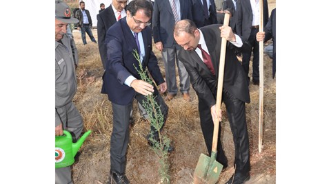 “7 Bölge 7 Orman” Projesinde Üçüncü Etap: Adıyaman