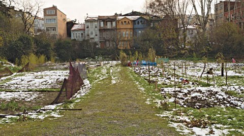 Kamusal Alanlar için Verilen Mücadeleler İşe Yarıyor