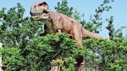 Devlet Destekli ‘Dinozor Parkı’