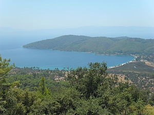 Muğla Doğa Katliamı Tehdidi Altında