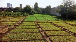 Bakanlık Yedikule'de Tarihi Bostanı Göremedi