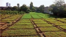 Yedikule 'Kültür Varlığına Rastlanmamış'