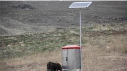 Sokak Hayvanları Güneş Enerjili Otomatlarla Beslenecek