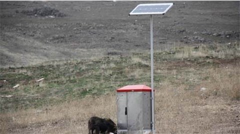 Sokak Hayvanları Güneş Enerjili Otomatlarla Beslenecek