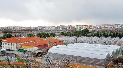 Araştırma Merkezi Yıkılıp İmara Açılacak!