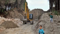 Otele Yol Açmak için Ağaç Katliamı Yapıldı