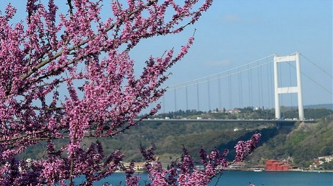 İstanbul'da Erguvan Vakti