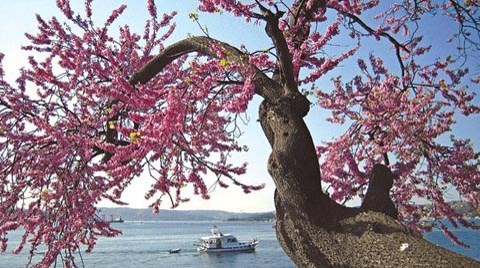 Tarihi Bir İhanet Boğaz’ı Nasıl Güzelleştirdi?