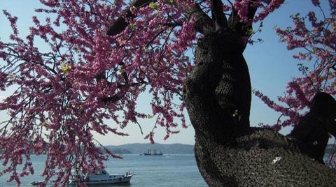 Tarihi Bir İhanet Boğaz’ı Nasıl Güzelleştirdi?
