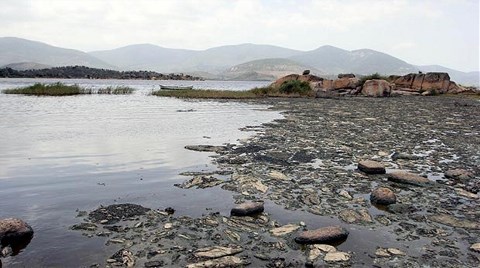 Bafa için Daha Ne Bekleniyor?