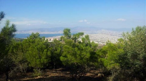 Projeye Halk Karar Verdi