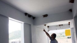 Kırlangıçlar Yuva Yapınca İnşaat Durdu!
