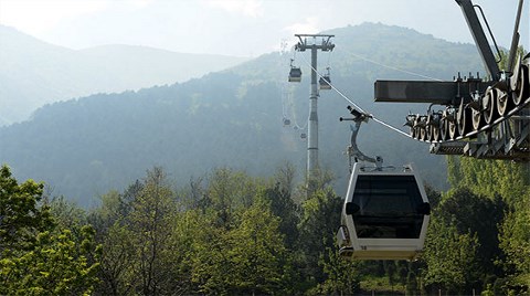 Teleferik İnşaatında Yargıya Rağmen Ağaç Kesimi!