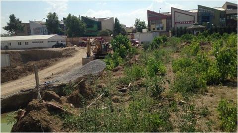 Devlet Tiyatroları'nın Ağaçlı Arazisine 3. Baskın!