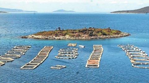 Balık Çiftlikleri Daha Çevreci Olacak