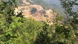 Binlerce Ağaç Maden Kurbanı