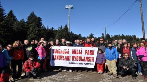 Uludağ'da Ağaç Kesimine Tepki